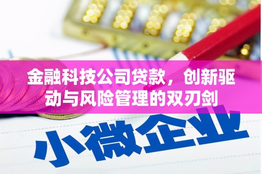 加查金融科技公司贷款，创新驱动与风险管理的双刃剑